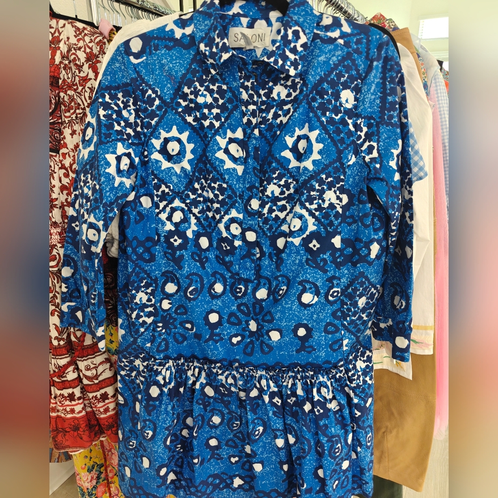 SALONI Dress || Size 4 - Picture 2 of 2
